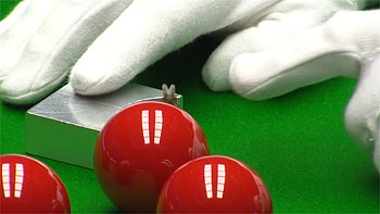 Trump vs Wilson quarterfinal, Rob Spencer's fly incident, Snooker referee, Unexpected distraction HD wallpaper