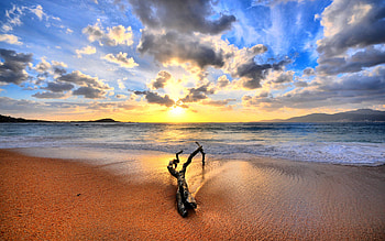 driftwood, sea, clouds, naturistic, beach HD wallpaper