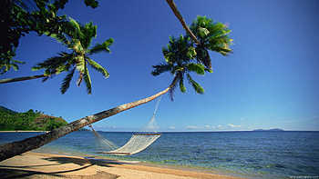 Tropical Beach Hammock 2014 HD wallpaper