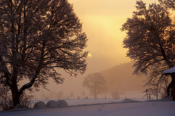 Winter, Nature, Trees, Sky, Sun, Snow, Dawn, Lumen, Fog, Morning, Frost, Courtyard, Yard, Opening HD wallpaper