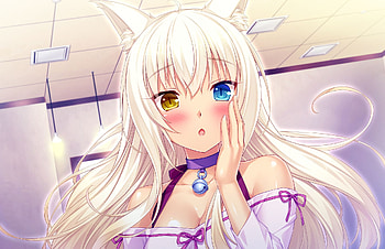 Nekopara, Coconut (Nekopara), Blush, Anime, Animal Ears, Cat Girl, Face, Heterochromia HD wallpaper