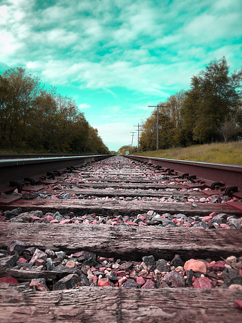 Landscape, Nature, Trees, Road, Rails HD phone wallpaper