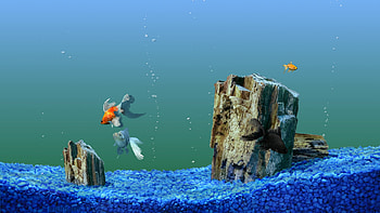 Which One To Choose: Animated Or Static Fish Tank Background : Fish Tank HD wallpaper