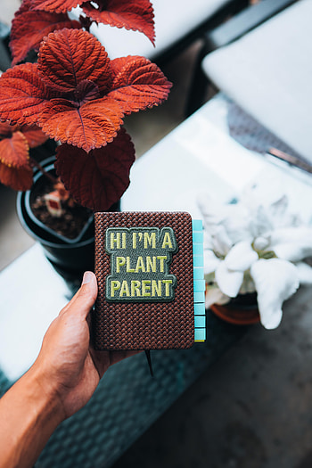 Plant, Words, Hand, Inscription, Notepad, Notebook HD phone wallpaper