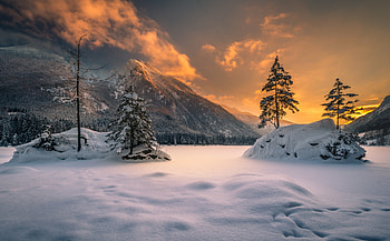 Winter sunset, Winter, Golden, Trees, Snow HD wallpaper