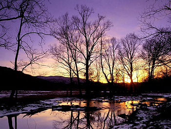 Landscape, Winter, Water, Rivers, Trees, Sunset HD wallpaper