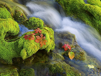 Landscape, Water, Rivers HD wallpaper