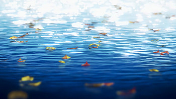 Violet Evergarden Serenity: Anime of Floating Leaves on Water, Anime, Violet Evergarden HD wallpaper
