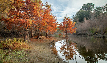 Pond Autumn Park , autumn, park, nature, pond, trees HD wallpaper