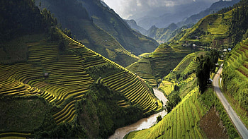 Vibrant Vietnam, Local markets, Authentic experiences, Lively street scenes HD wallpaper