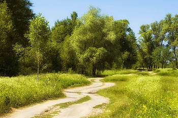 Summer Road, summer, green, trees, road, grass, windy HD wallpaper