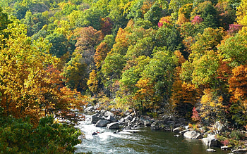 Fall Color at Ohiopyle State Park HD wallpaper
