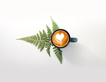 Food, Fern, Pattern, Cup, Cappuccino, Drink, Beverage HD wallpaper