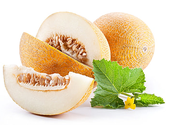 Melon, Juicy and refreshing, Bursting with flavor, Quenching thirst HD wallpaper