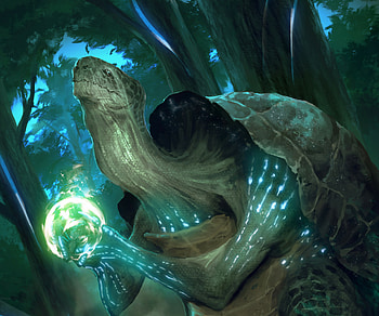 Turtle of Mercy, fantasy, turtle HD wallpaper