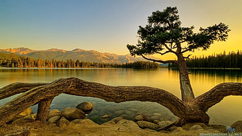 Breathtaking National Geographic Nature 1920×1080 Breathtaking Wallpap Wp6003852 Live HD wallpaper