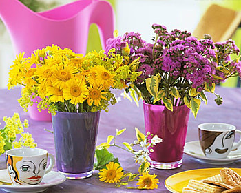 Beautiful Flowers, vase, flowers, bloom, cup HD wallpaper
