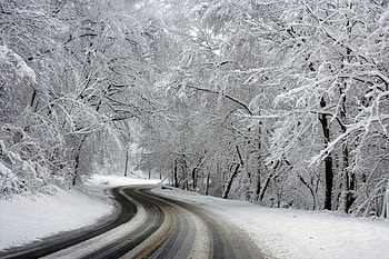 Winter Road, Road, Winter, Nature, tree HD wallpaper