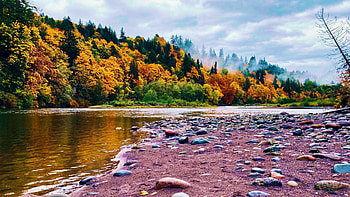 Oxbow Regional Park, Oregon, clouds, trees, colors, sky, rocks, water, stones, fall, usa, autumn HD wallpaper