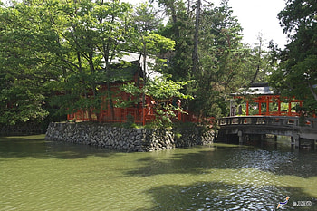 Ikushimatarushima Shrine, japanese, temple, japan, nagano, oriental, shrine, scenery, ueda, nature HD wallpaper