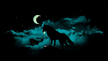 For > Black Wolf Backgrounds HD wallpaper