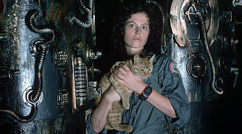Alien, species, movie, ripley HD wallpaper