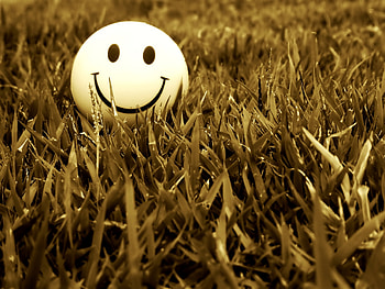 Grass, Miscellanea, Miscellaneous, Smile, Mood HD wallpaper
