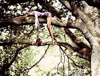 Up a tree, woman sleeping, mystery, purple dress, branches, purse, tree HD wallpaper