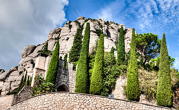Nature, Trees, Spain, Catalonia, Montserrat HD wallpaper