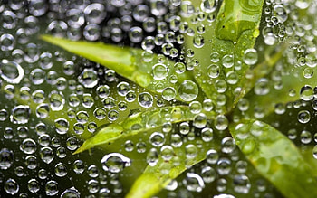 Background, Drops HD wallpaper