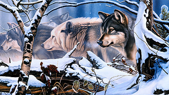 The Pack comes, winter, wolves, animals, snow HD wallpaper