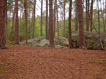 Fontainebleau Forest Barbizon Rocks, trees, leaves, forest, rock HD wallpaper