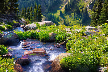 Boulder creek, river, creek, slope, grass, beautiful, stones, mountain, wildflowers, summer, California, stream HD wallpaper