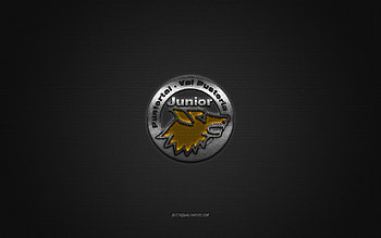 HC Pustertal, Italian hockey club, EIHL, gray logo, gray carbon fiber background, Elite Ice Hockey League, hockey, Bruneck, Italy, HC Pustertal logo HD wallpaper