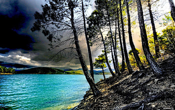 GLOOMY DAY at LAKE, clouds, trees, sky, nature, gloomy, lake HD wallpaper