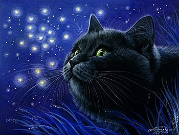 By Garmashova Irina, garmashova irina, cat, black, art HD wallpaper