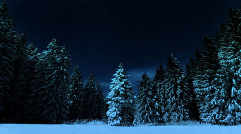 Nocturnal, winter, sky, nature, forest HD wallpaper