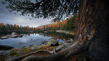 Autumn Scenery Of A Swiss Mountain Lake On A Cloudy Day, lake, pond, tree, trees, sky, mountains, nature HD wallpaper