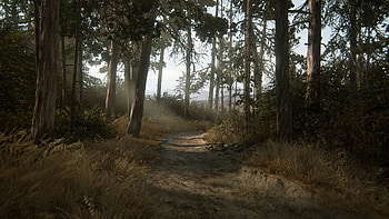 The Farm (Scenery 1), The Last of Us Part II HD wallpaper