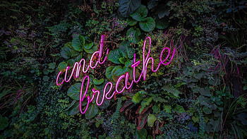 Breathe Neon Sign HD wallpaper
