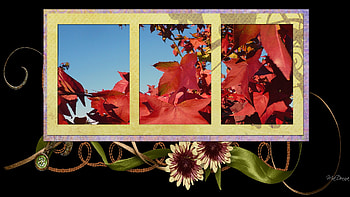 Autumn Framed, leaves, sunflowers, firefox persona, frame, fall, autumn HD wallpaper