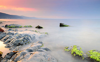 Nature, Stones, Rocks, Fog, Wet, Smooth, Surface, Silence, Moss, Shroud HD wallpaper