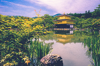 Cities, Architecture, Building, Lake, Pagoda, Temple, Oriental HD wallpaper