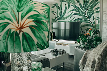 A cozy modern living room features tropical decor and indoor plants. HD wallpaper