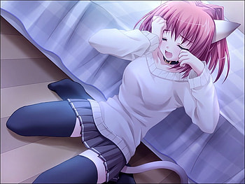 Sleepy CatGirl, sleepy, catgirl, anime HD wallpaper