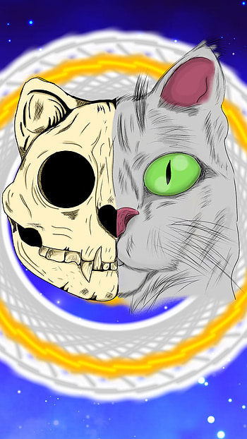 CAT SKULL, head, nose HD phone wallpaper