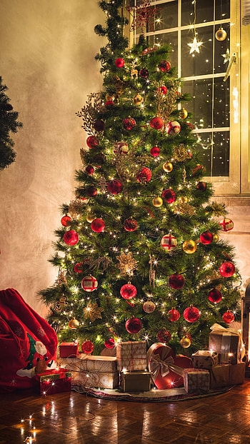 Its Christmas, holiday ornament, christ is born, christmas tree, believe, decoration HD phone wallpaper