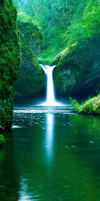 nature, greenery, water, waterfall HD phone wallpaper