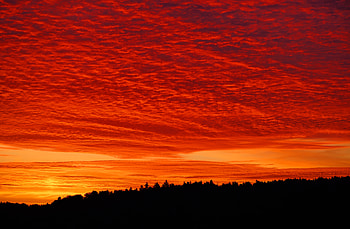 Nature, Sunset, Twilight, Clouds, Bright, Forest, Dusk, Fiery HD wallpaper