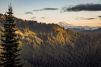 Mt Adams View From The Distance, mountains, nature HD wallpaper